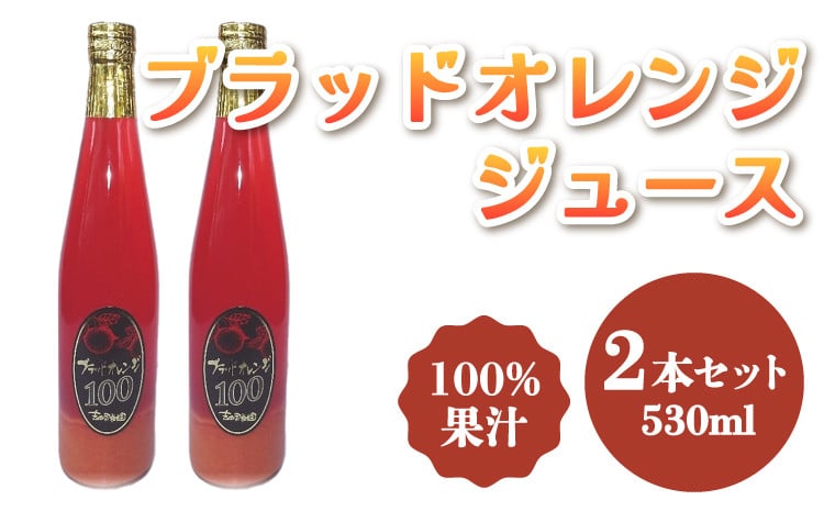 
オレンジジュース ブラッドオレンジ 100% ジュース 530ml×2本 合計1.06L
