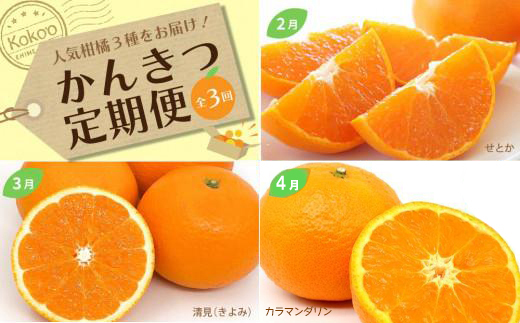 柑橘 定期便 【全3回】 春かんきつ定期便 家庭用 優品 【2027年2～4月頃順次発送】 | せとか きよみ カラマンダリン みかん 愛媛三大柑橘 ( 甘平 せとか 紅まどんな ) のひとつ せとか 松山市 愛媛県 定期便 お楽しみ 旬 フルーツ 果物 定期便 果物 愛媛県 松山市