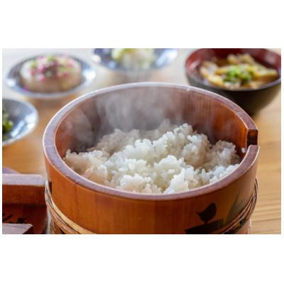 ふるさと納税 十日町市 【毎月定期便】魚沼産 新之助 5kg全6回 |  | 02