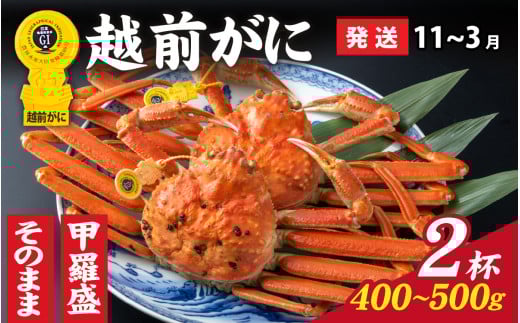 【先行予約】選べる！美味しさ直送【成前特選】 越前がに（400g～500g）×2杯【11月～3月発送】甲羅盛  [J-028047_07] / 福井県 福井 オス 雄 ズワイガニ ボイル 冷蔵 越前ガニ 越前がに 越前カニ ずわいがに ずわい蟹 かに カニ 蟹 指定 茹で 甲羅盛り 甲羅盛 すがた 姿 チルド 越前蟹 ずわい ズワイ 茹で蟹 茹で むき身 年内発送 年内配送 年内お届け