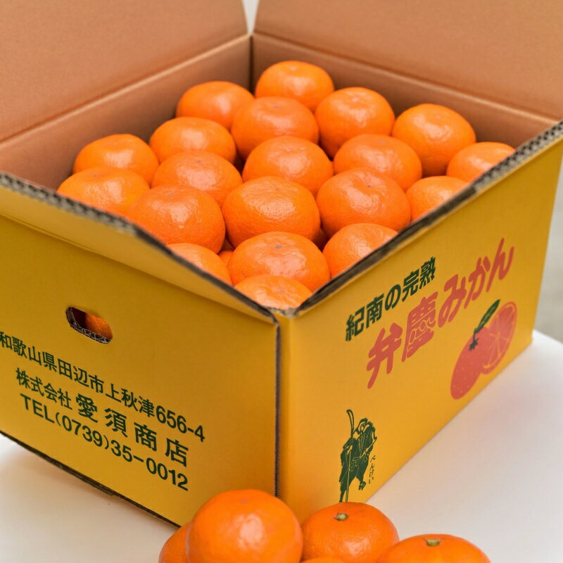 【ふるさと納税】紀南の温州みかん 10kg※2025年11月20日頃〜2026年1月上旬頃に順次発送予定【期間限定・先行予約・1/10まで】 / 田辺市 温州みかん みかん フルーツ