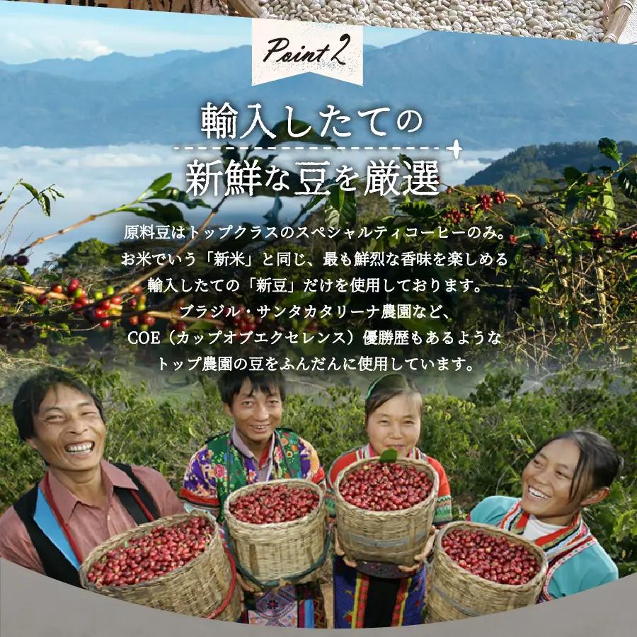 【訳ありコーヒー定期便】スペシャルティ コーヒー 12ヶ月コース (粉400g) 珈琲