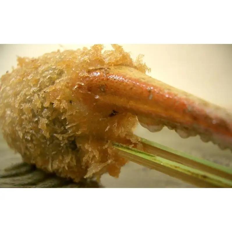 博多の老舗 季節の串揚げ 詰め合わせ 20本セット