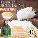 【ふるさと納税】レトルトパックご飯（白米）150g × 40個 26-001 パックご飯 パックライス ご飯 ご飯パック ごはんパック パック レトルト 米 備蓄米 備蓄 防災 備蓄品 備蓄 食料