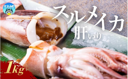 イカ すさみ町産 スルメイカ 肝いり 1kg【mix021】