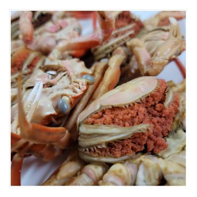 ふるさと納税 京丹後市 茹でセコガニ(コッペガニ)150g前後×5杯セット |  | 01