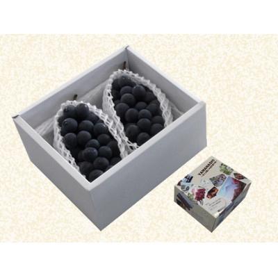 ふるさと納税 山梨市 【発送月固定定期便】JAフルーツ山梨定期便 全3回 |  | 01