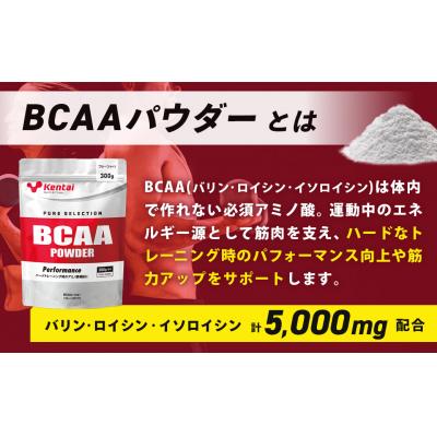 ふるさと納税 伊豆市 【健康体力研究所】BCAAパウダー(300g×1袋)| アミノ酸 補給 筋肉 サポート |  | 01