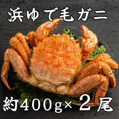 ふるさと納税 紋別市 流氷明け浜ゆで毛ガニ約400g×2尾★★