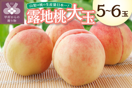 〈2026年度配送分〉露地桃大玉 5-6玉〈約1.8kg〉（2026年7月上旬～下旬にかけて順次配送予定）