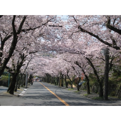 【伊豆高原】＼温泉・宿泊・体験に!/2,000円パス5枚セット