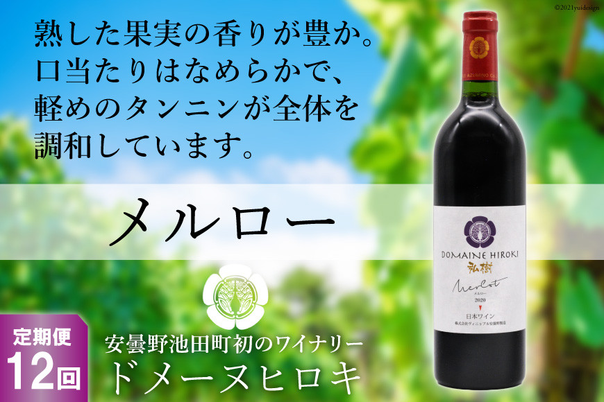 
【12回 定期便 】【熟した果実の香り】 赤 ワイン メルロー 750ml×1本 [ヴィニョブル安曇野 DOMAINE HIROKI 長野県 池田町 48110185] 赤ワイン お酒 酒
