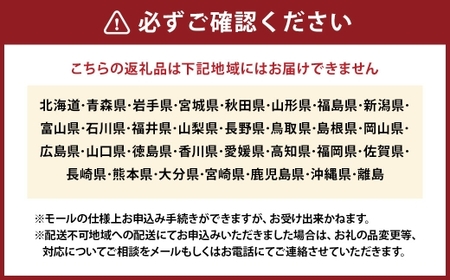 【ティータイムやギフトにおすすめ】 サクサク生地×とろけるリンゴの絶品アップルパイ 4ホール ／ りんご 焼き菓子 おかし お菓子 菓子 洋菓子 焼菓子 スイーツ アップルパイ パイ リンゴ 林檎 特