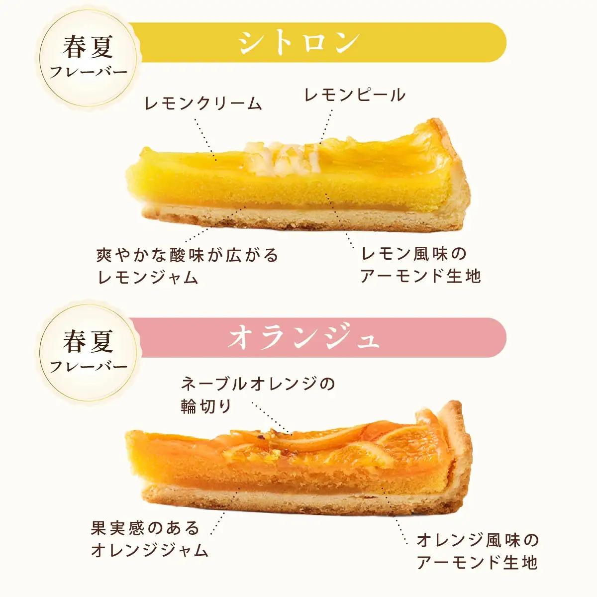 【アンリ・シャルパンティエ】タルト・フリュイ・アソート L（春夏）（西宮市・芦屋市共通返礼品）