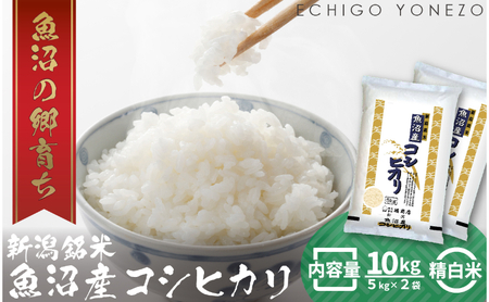 【令和7年産 新米先行受付】魚沼産コシヒカリ（精米）10kg 白米 精米 ブランド米 銘柄米 ご飯 おにぎり お弁当 和食 産地直送 粘り モチっと食感 上品な甘み 魚沼 新潟県