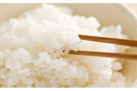 【令和7年産】 七城のこめ 精米 計10kg（5kg×2袋）ヒノヒカリ《30日以内に出荷予定(土日祝を除く)》  白米 九州産 熊本県産