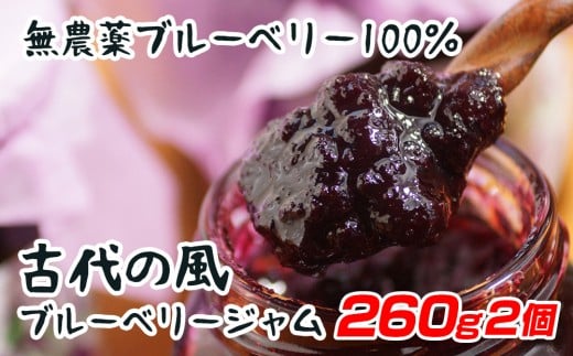 古代の風『無農薬ブルーベリージャム』Big 260g×2個＜1-131＞加工品 瓶詰 果物 くだもの 宮崎県西都市
