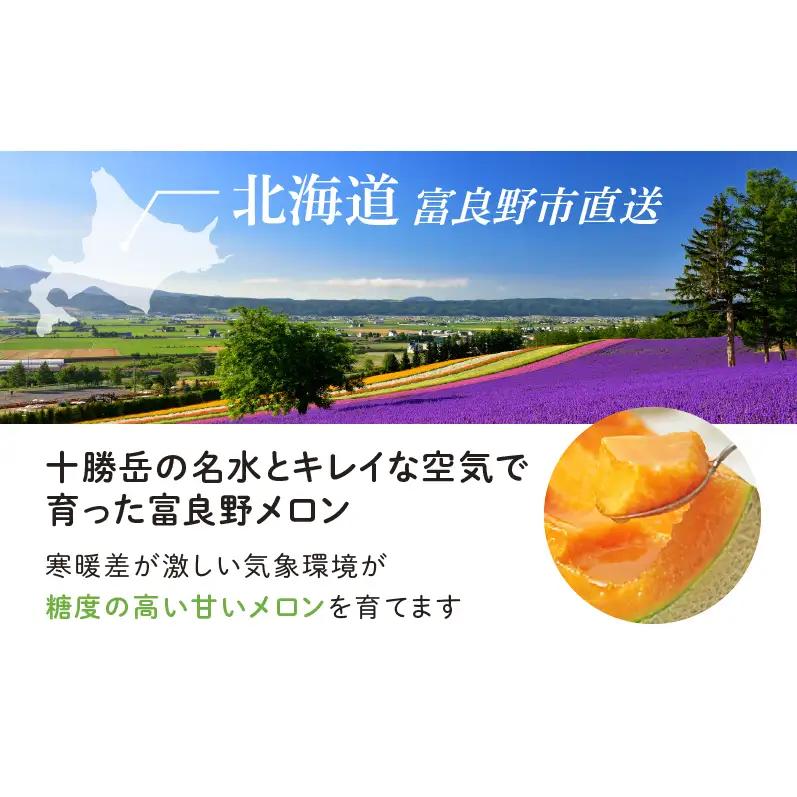 【2026年夏発送】北海道 富良野メロン 5玉 計約8kg メロン 果物 赤肉