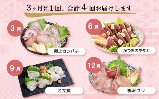 刺身 定期便 4ヶ月 小島水産 がお届けする！ 美味しい お刺身 （ 鮮魚 下処理済 ） 産地直送 4回（ カンパチ カツオ 鯛 ブリ ）  新鮮 定期 刺身 魚貝 かんぱち 勘八 鰹 かつお カツオ