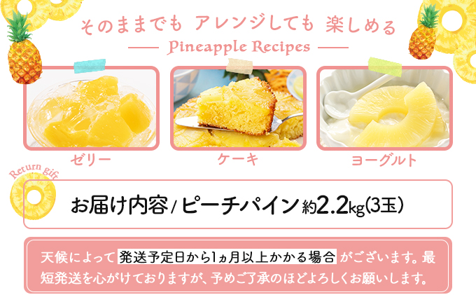 2026年 先行予約 ピーチパイン  約 2.2kg (3玉)甘熟 西表島ふる～つらんど 不動の人気No.1 果物 フルーツ パイン