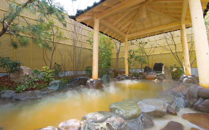 温泉入浴券 大谷の湯 日帰り温泉 入浴券 12枚【社会福祉法人青生会】 [BHCM002]