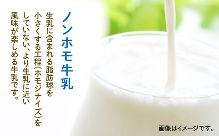 牧場の アイスクリーム セット ( 100g × 6個 ) / アイス ソフトクリーム ミルク デザート スイーツ お菓子 熊本 山都町【山の未来舎】[YBV007] 10000 10,000 100