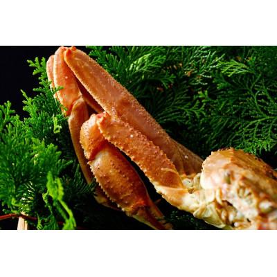 ふるさと納税 若桜町 【先行予約】鳥取県産　タグ付き活松葉がに　800g以上×1枚 |  | 02