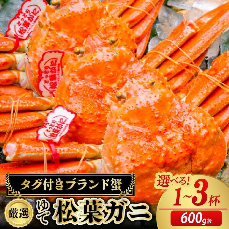 【ふるさと納税】【先行予約】【厳選！タグ付きブランド蟹】茹で松葉かに（600g級）（2026年1月～発送） 1杯 2杯 3杯 選べる 内容量 松葉蟹 ズワイガニ 国産 海産物 甲殻類 かに ずわいがに 松葉かに 茹で ボイル 京都 京丹後 ふるさと納税 海鮮 ふるさと納税 かに 海祥