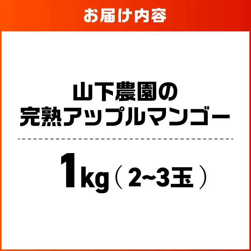 【 2027年 先行予約 】 甘い香り の 贈り物 ！ 山下農園 の 完熟アップルマンゴー 1kg （ 2～3玉 ） W063-003-01 期間限定 果物 マンゴー