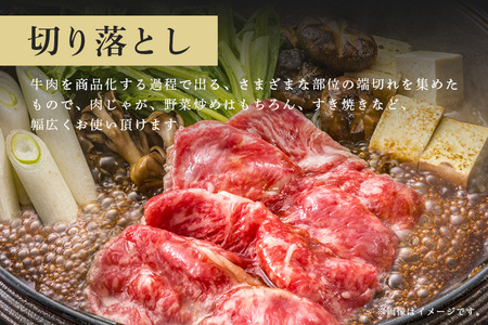 常陸牛　切り落とし700g（350g×2）【茨城県共通返礼品】 C09-001