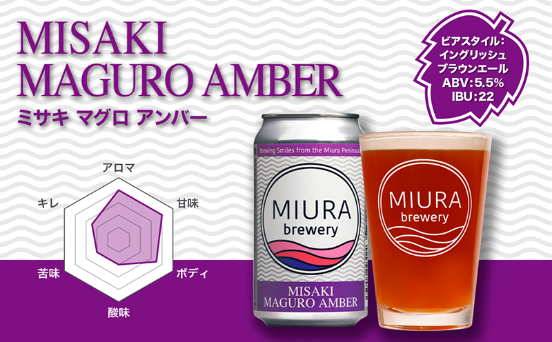 【全6回定期便】【三浦ブルワリー】クラフトビール 12本飲み比べセット　M110-T06