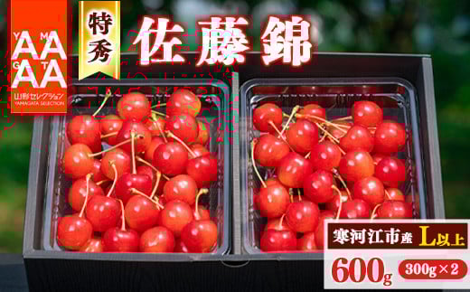 
            【先行予約】令和8年産 特秀品 さくらんぼ「 佐藤錦 」600g (300g×2パック) Lサイズ以上 2026年産 山形県産 【2026年6月上旬頃～下旬頃発送予定】 ※配送不可 沖縄・離島 026-A-AF002
          