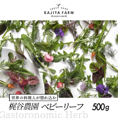 ふるさと納税 三原市 【世界の料理人が惚れ込む】広島・梶谷農園のハーブ ベビーリーフ 500g [168-001]
