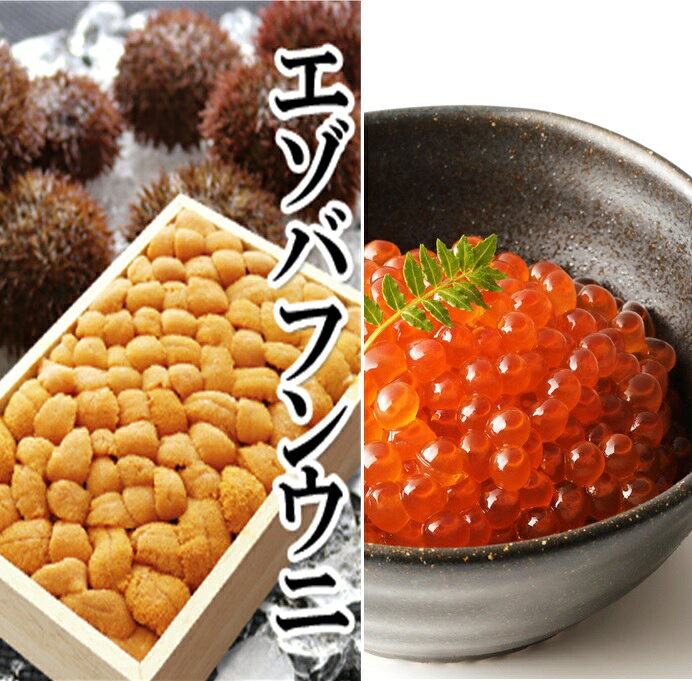 【ふるさと納税】 エゾバフンウニバラ詰め 140g × 1 枚、いくら醤油漬け(鱒卵) 150g × 1P [2027年1月中旬以降発送] イクラ 醤油 醤油漬け 魚卵 鮭卵 うに 雲丹 えぞばふんうに 蝦夷バウンウニ 蝦夷ばふんうに お取り寄せ グルメ 海鮮 北海道 根室市 D-40054