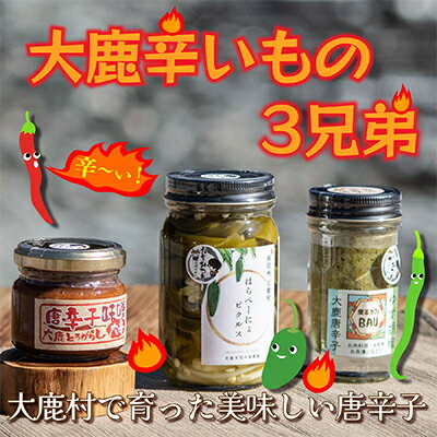 【ふるさと納税】辛いもの3兄弟【1726021】