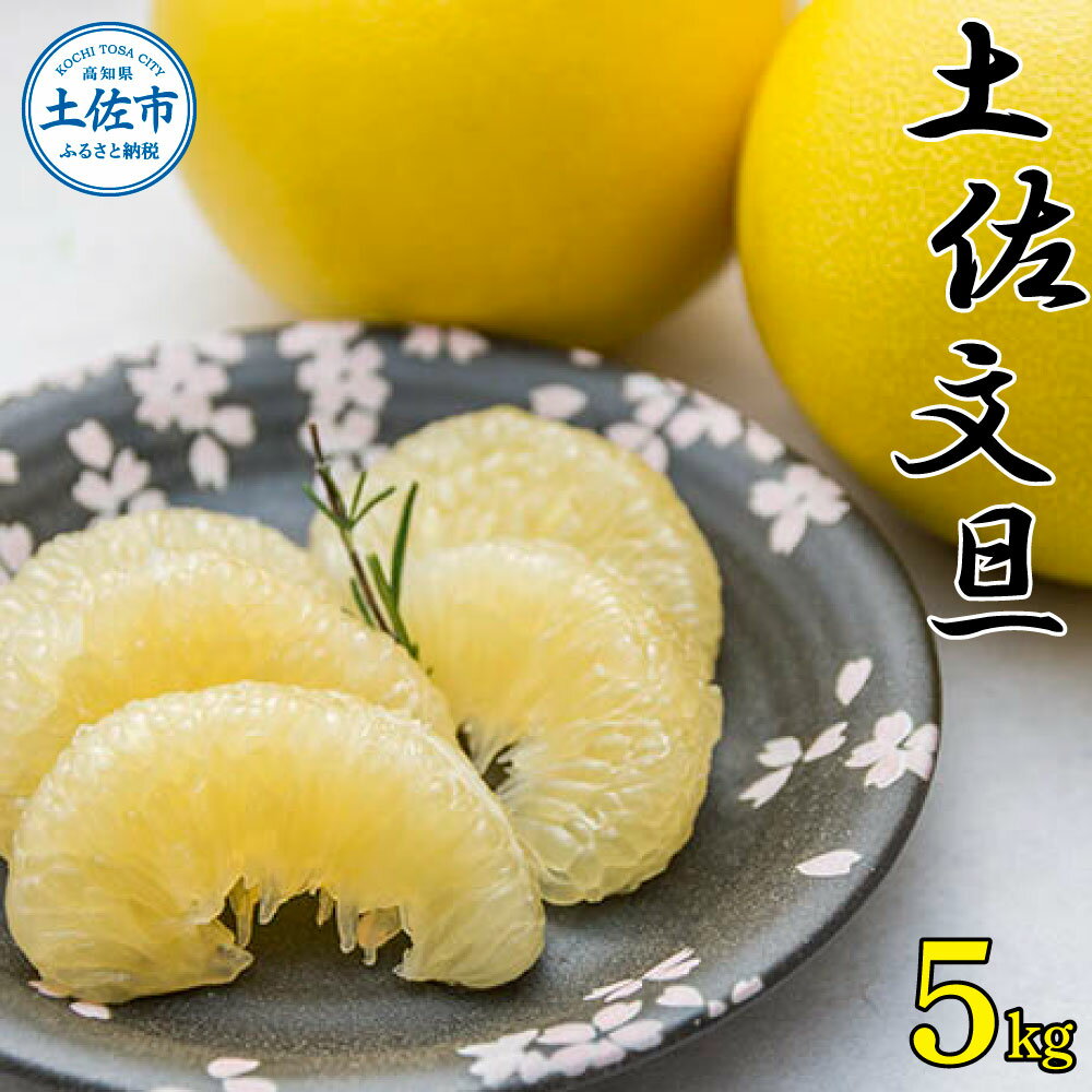 【ふるさと納税】高知県産 土佐文旦 5kg 2026年2月上より順次発送 文旦 ぶんたん ブンタン 柑橘 フルーツ 果物 5キロ 8玉〜10玉入 美味しい 春 こだわり 贈答 高知県産 種田農園 土佐 高知 高知県 土佐市 こうち 返礼品