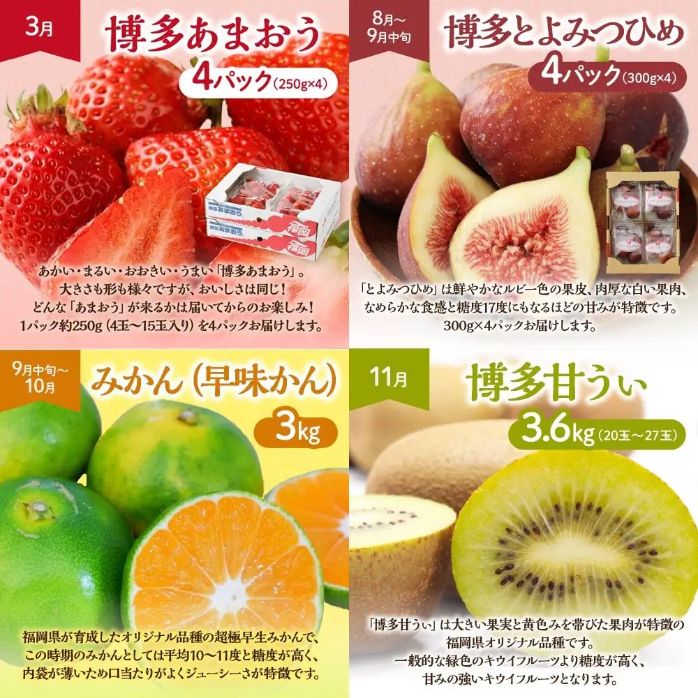 【定期便/年４回】フルーツ 旬の福岡フルーツ定期便_HB0087