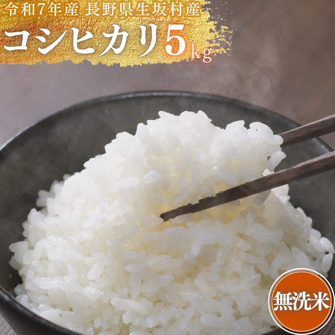 【ふるさと納税】白米 生坂村産コシヒカリ 無洗米 5kg 長野県産 | コメ 白米 長野県 生坂村