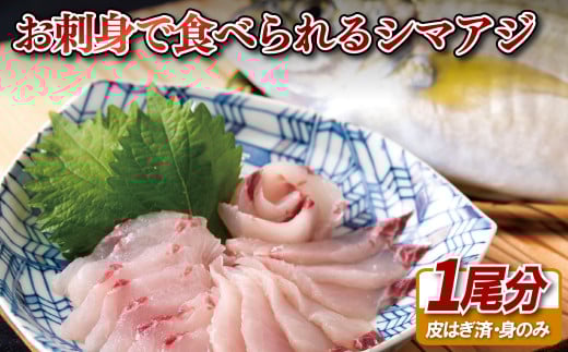 A111a ｢活〆急速冷凍｣お刺身で食べられるシマアジ