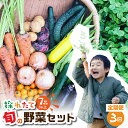 【ふるさと納税】金賞受賞 旬彩野菜セット 3回 定期便 旬の野菜 7品目以上 レシピ付き お届け 国産 新鮮 農薬不使用 化学肥料不使用 野菜ソムリエ 旬の目利き 高評価 安心 安全 農家直送 直送 産地直送 こだわり野菜 送料無料