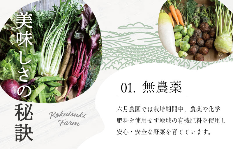 宮殿の厨房野菜 おまかせ定期便 （3回） 六月農園 野菜 セット 産地直送 おまかせ 5品 季節の野菜 旬 詰め合わせ 人気 限定 有機栽培 オーガニック 明和町 国産 リピート 定期便