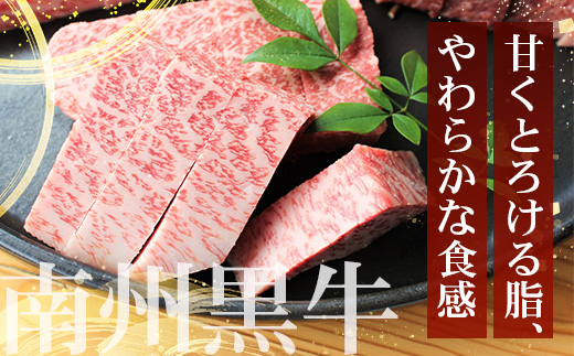 ≪全3回≫ 鹿児島県産 黒毛和牛 ◆ 贅沢 ステーキ 定期便 ◆ 南州黒牛 NS-27 ｜ 国産 牛 黒毛和牛 うし 牛肉 ロース サシ やわらかい 冷凍 ステーキ 肉定期便 定期便 鹿児島県 南大隅