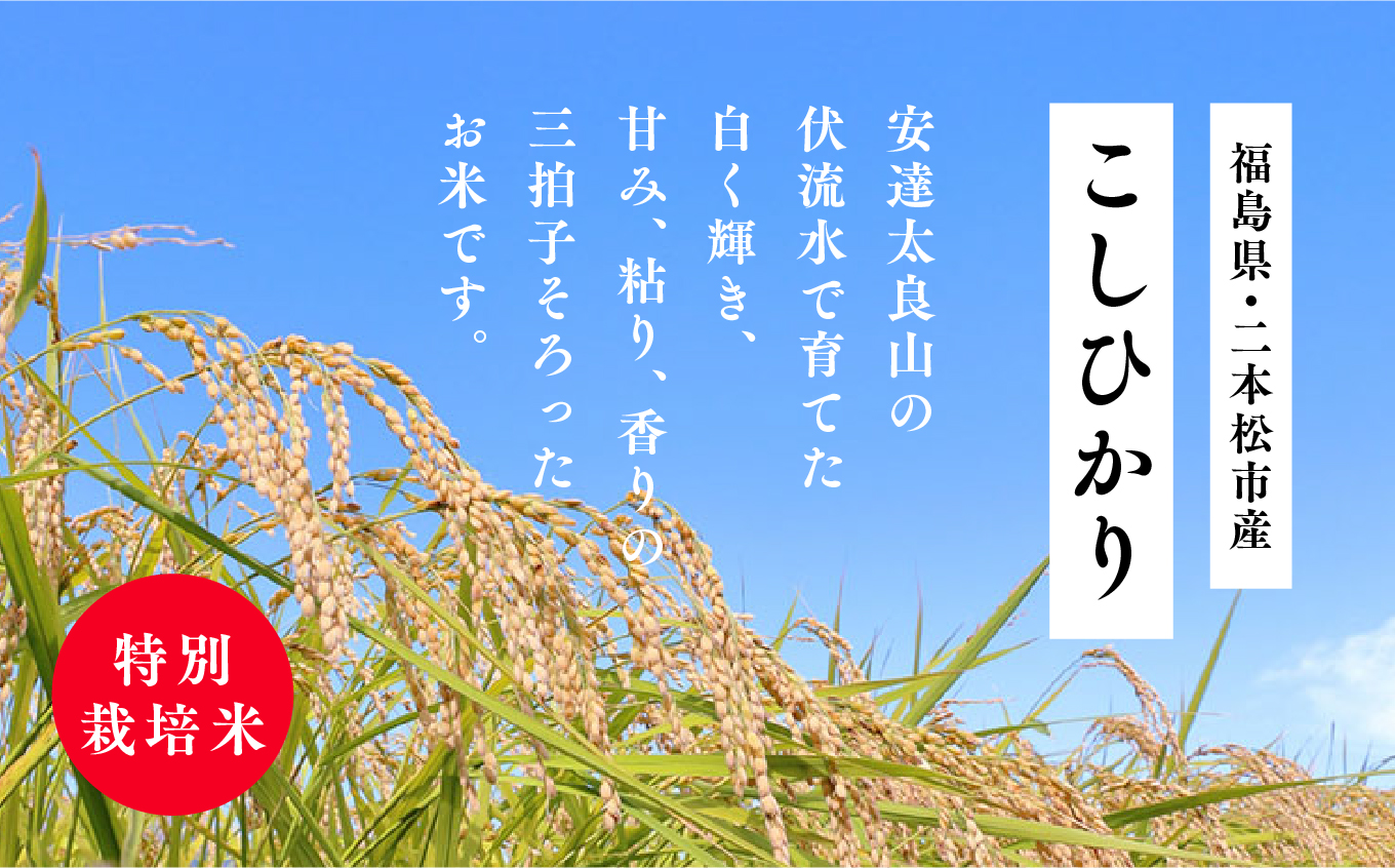 《新米先行予約》【毎月届く】令和8年産 福島県産こしひかり 玄米 定期便 20kg 9回 株式会社あだたら米 二本松市