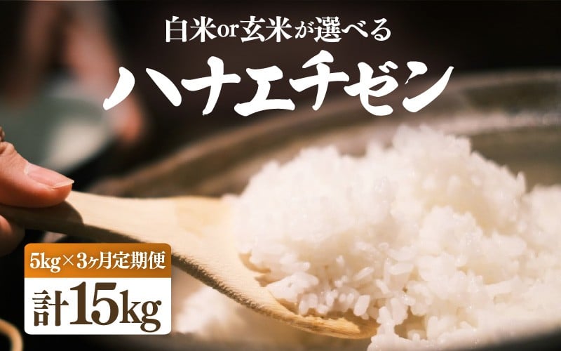 
            【先行予約】【令和7年産・新米】定期便 ≪3ヶ月連続お届け≫ ハナエチゼン 5kg × 3回（合計15kg）【選べる精米方法：白米/玄米】【10月中旬前後より順次発送予定】【お米 こめ はなえちぜん 華越前 人気品種 ブランド米 5キロ 白米 精米 玄米 おにぎり うまい 福井県ブランド米 福井県産】 [e26-c001]
          