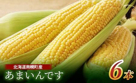 北海道産 とうもろこし 令和8年発送 あまいんです6本 スイートコーン 南幌町 NP1-179