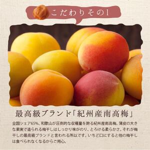 【A級品】紀州南高梅 田舎梅 500g 塩分10％ / 梅干し 梅干 うめぼし 南高梅 国産 梅 うめ ウメ 完熟 健康 ご飯のお供 昔ながら 贈り物 ギフト プレゼント お取り寄せ せんのうめ 和歌