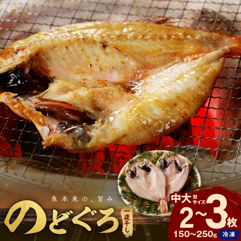 【ふるさと納税】のどぐろ一夜干し無添加個包装2〜3枚「中〜大型150〜250gサイズ」 産地直送 干物 魚 一夜干し 人気 大きい 天然 ボリューム ノドグロ 【005_0129】