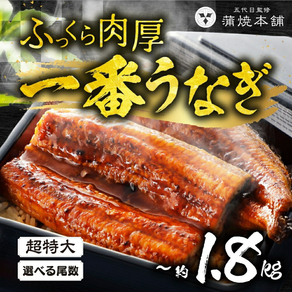 【ふるさと納税】お届け時期が選べる ≪特大サイズ≫ 国産うなぎ蒲焼 2尾 ~ 6尾 タレ付 うなぎ unagi 鰻 国産 ウナギ 蒲焼 土用の丑の日 国産うなぎ 贅沢 ご褒美 お取り寄せ うな重 うな丼 ひつまぶし 冷凍 惣菜 お祝い 大きい 超特大 年末配送 年内配送 年末 愛知県 豊橋市