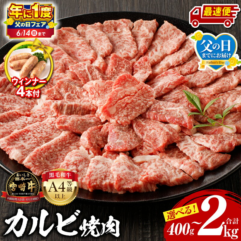 史上初内閣総理大臣賞4連覇* 宮崎牛 カルビ 焼肉・バーベキュー用 500g