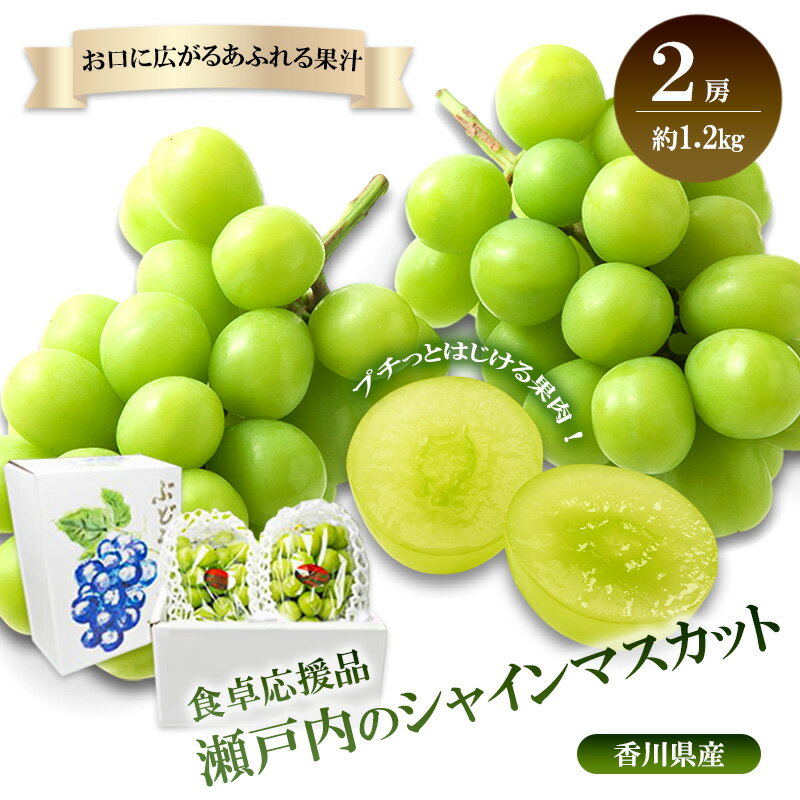 【ふるさと納税】瀬戸内のシャインマスカット　2房（約1.2kg）　お届け：2025年8月中旬～10月中旬まで